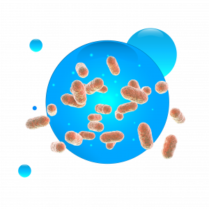 A bélflóra is virágzik?