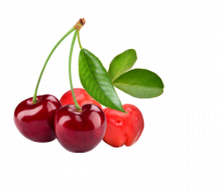 Cseresznye-acerola